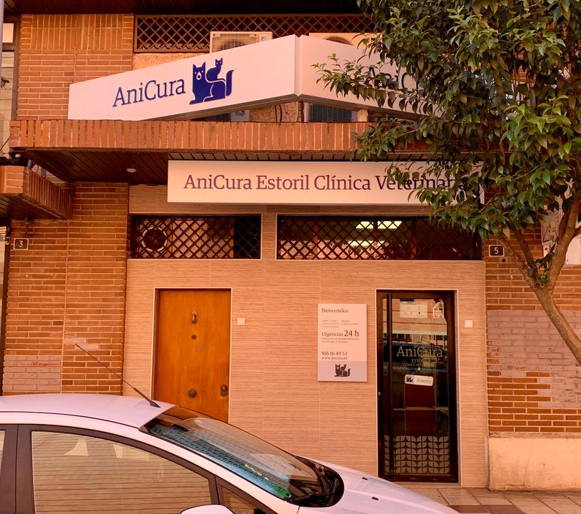 Clínica veterinaria AniCura Estoril Clínica Veterinaria