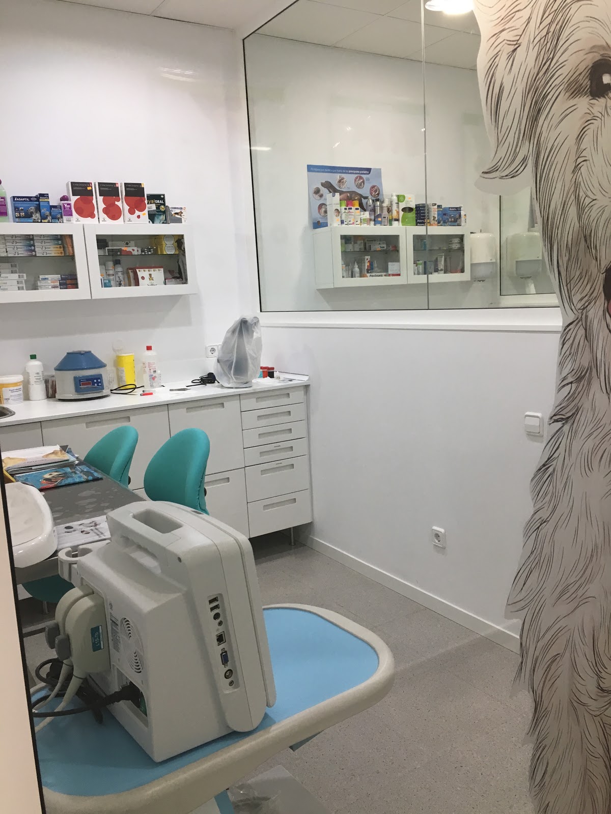 Clínica veterinaria MORERA CLÍNICA VETERINÀRIA