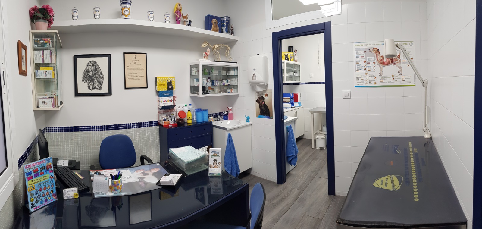 Clínica veterinaria Clínica veterinària Sant Francesc