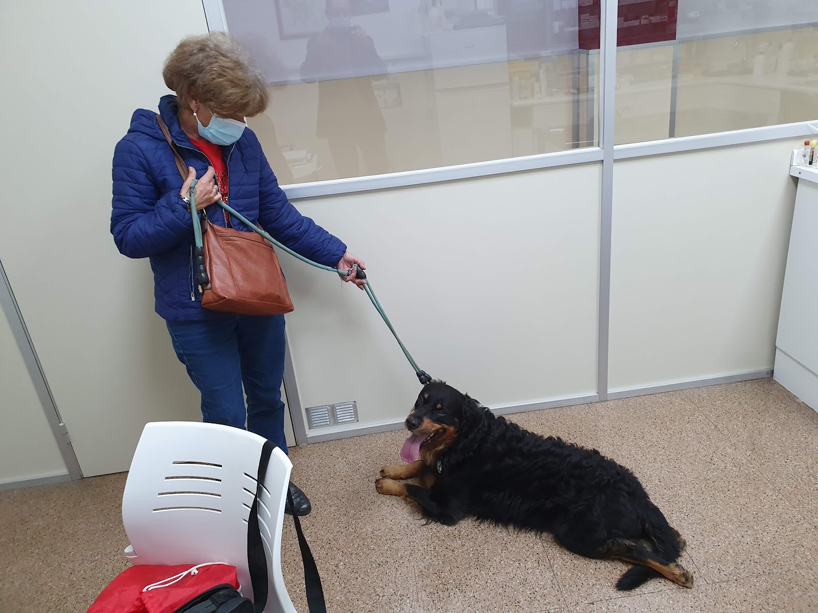 Clínica veterinaria Clínica Veterinària Tecnos