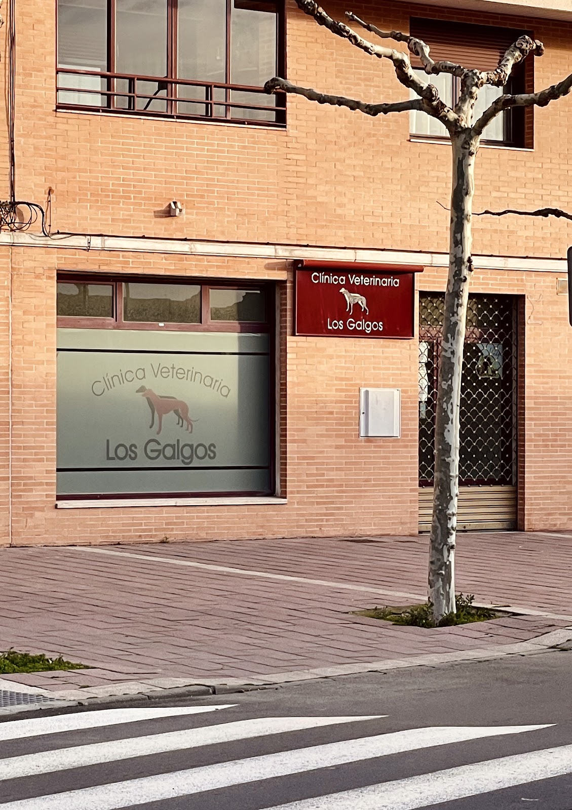 Clínica veterinaria Clínica Veterinaria Los Galgos