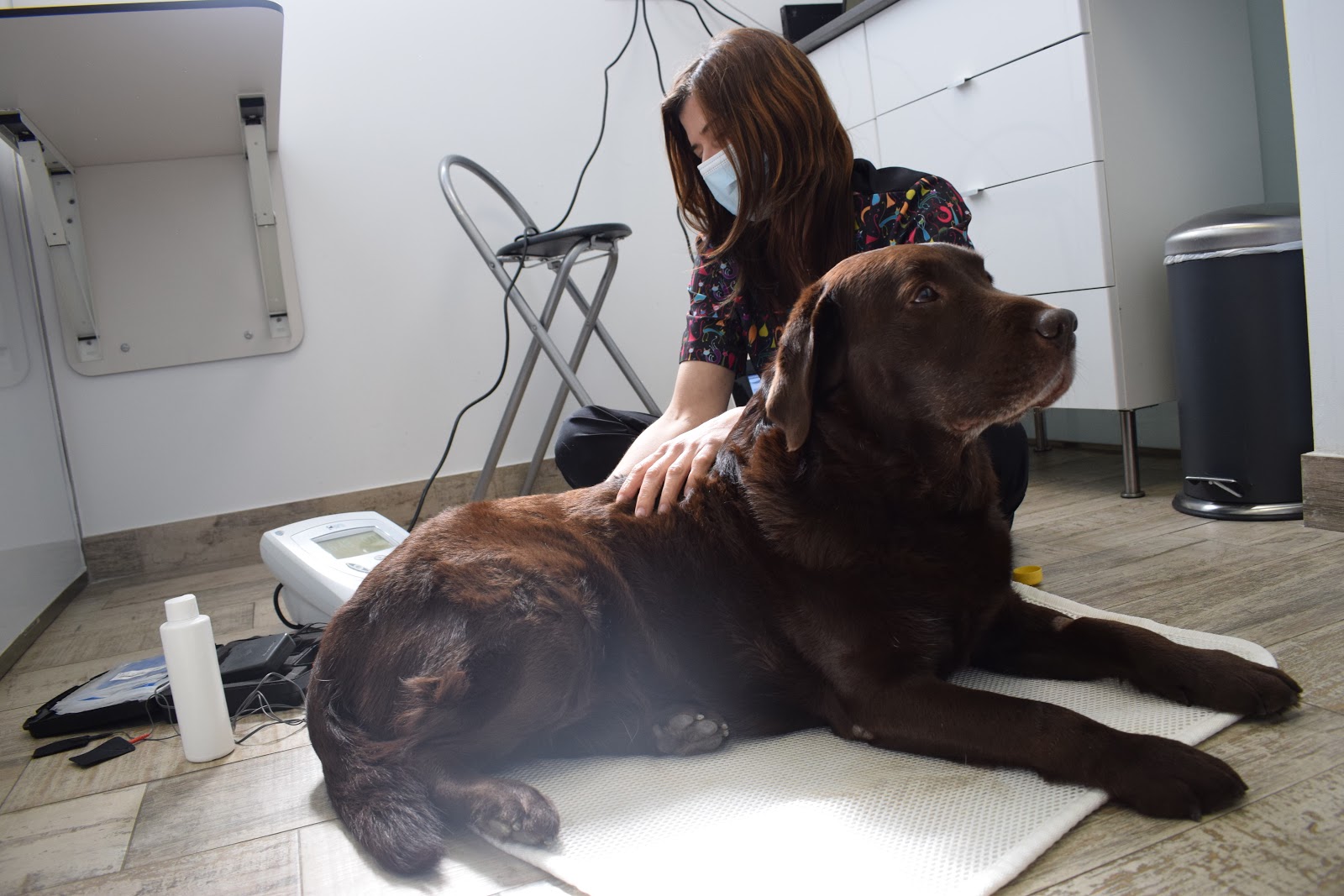 Clínica veterinaria Norte Veterinarios