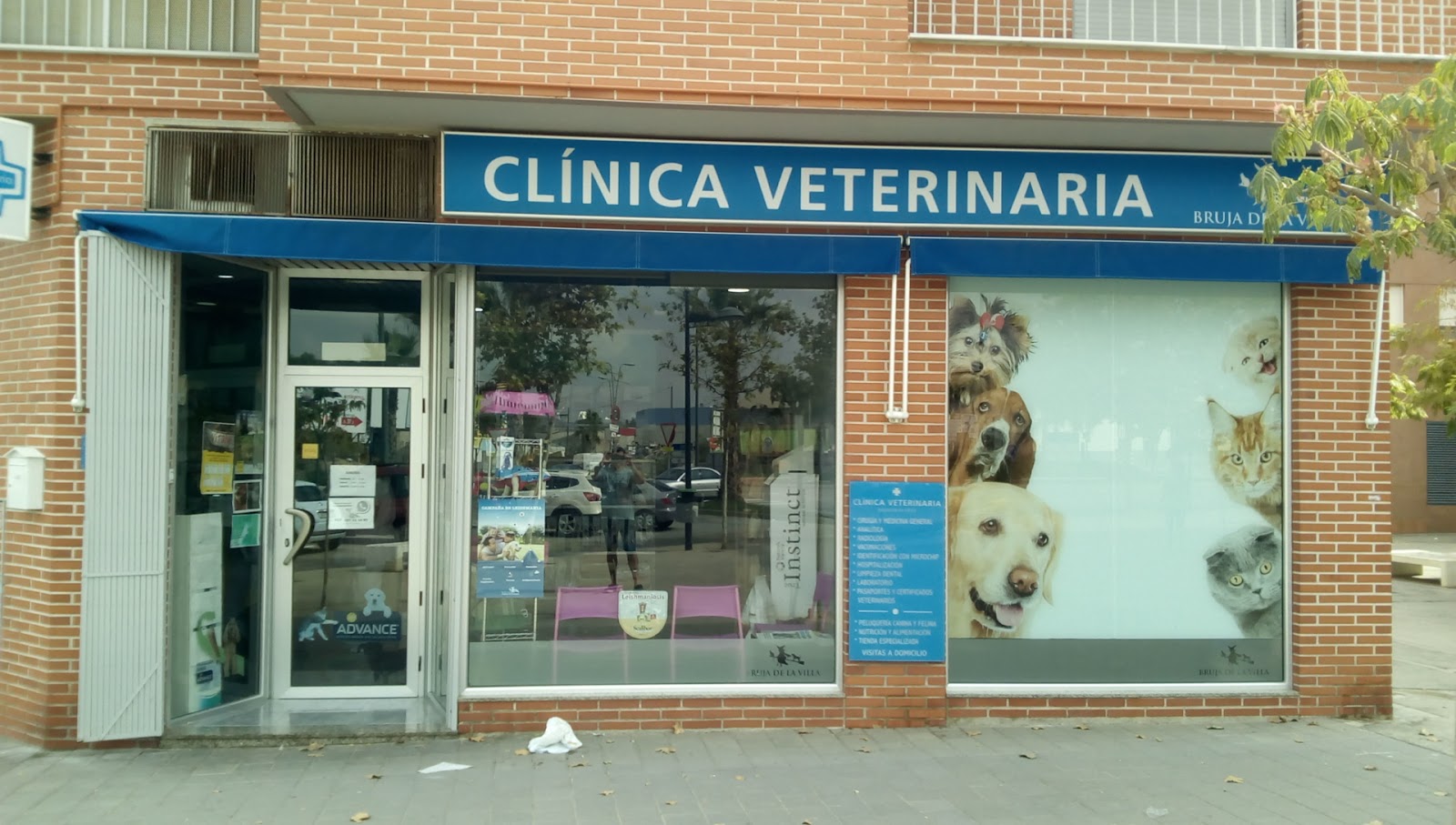 Clínica veterinaria CLINICA VETERINARIA BRUJA DE LA VILLA