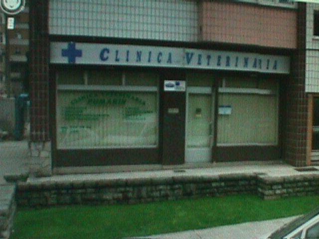 Clínica veterinaria Clínica Veterinaria Pumarín