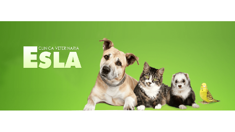 Clínica veterinaria Clínica Veterinaria Esla