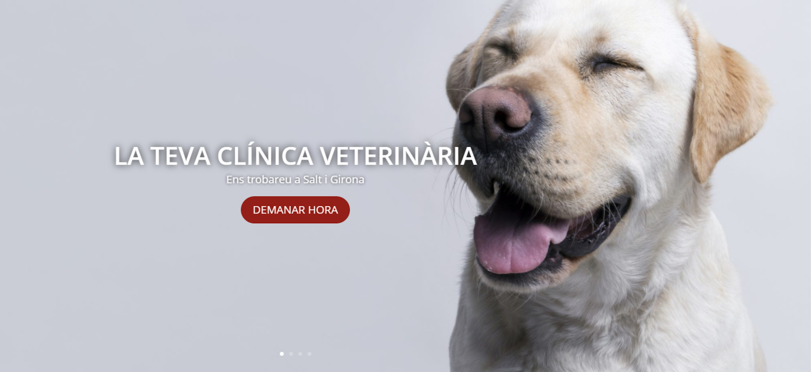 Clínica veterinaria Clínica veterinària Animàlia