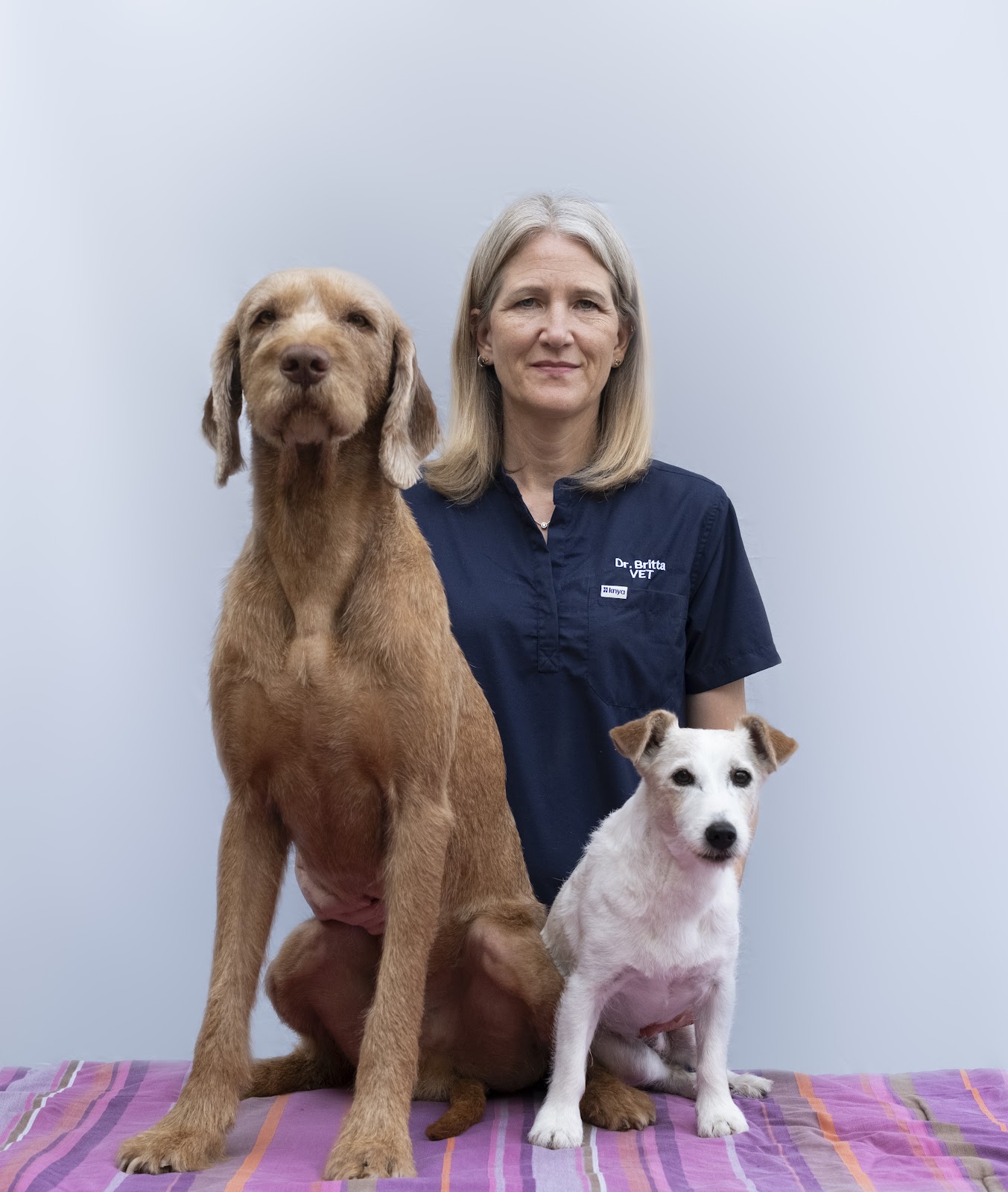 Clínica veterinaria DrBrittaVet