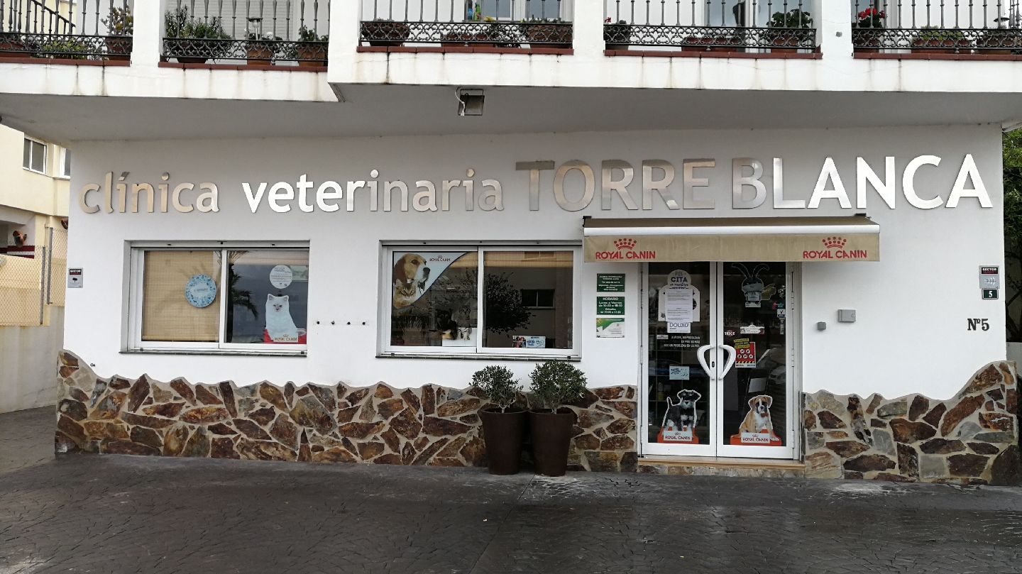 Clínica veterinaria Veterinary Clinic Torreblanca