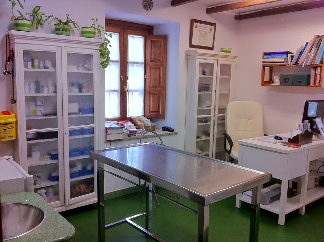 Clínica veterinaria Clinica Veterinaria Africa