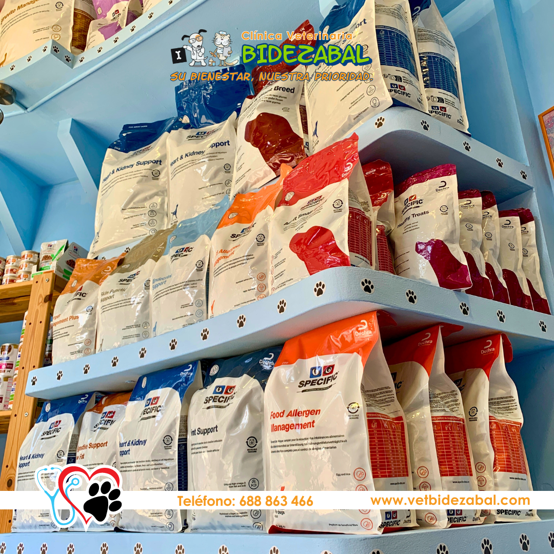Clínica veterinaria Clínica Veterinaria Bidezabal