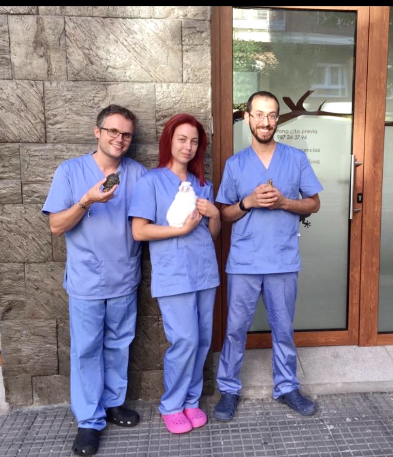 Clínica veterinaria Clínica Veterinaria Axolotl • Veterinario especialista en exóticos, perros y gatos