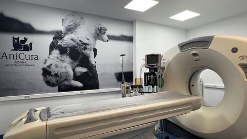 Clínica veterinaria AniCura Aitana Hospital Veterinario