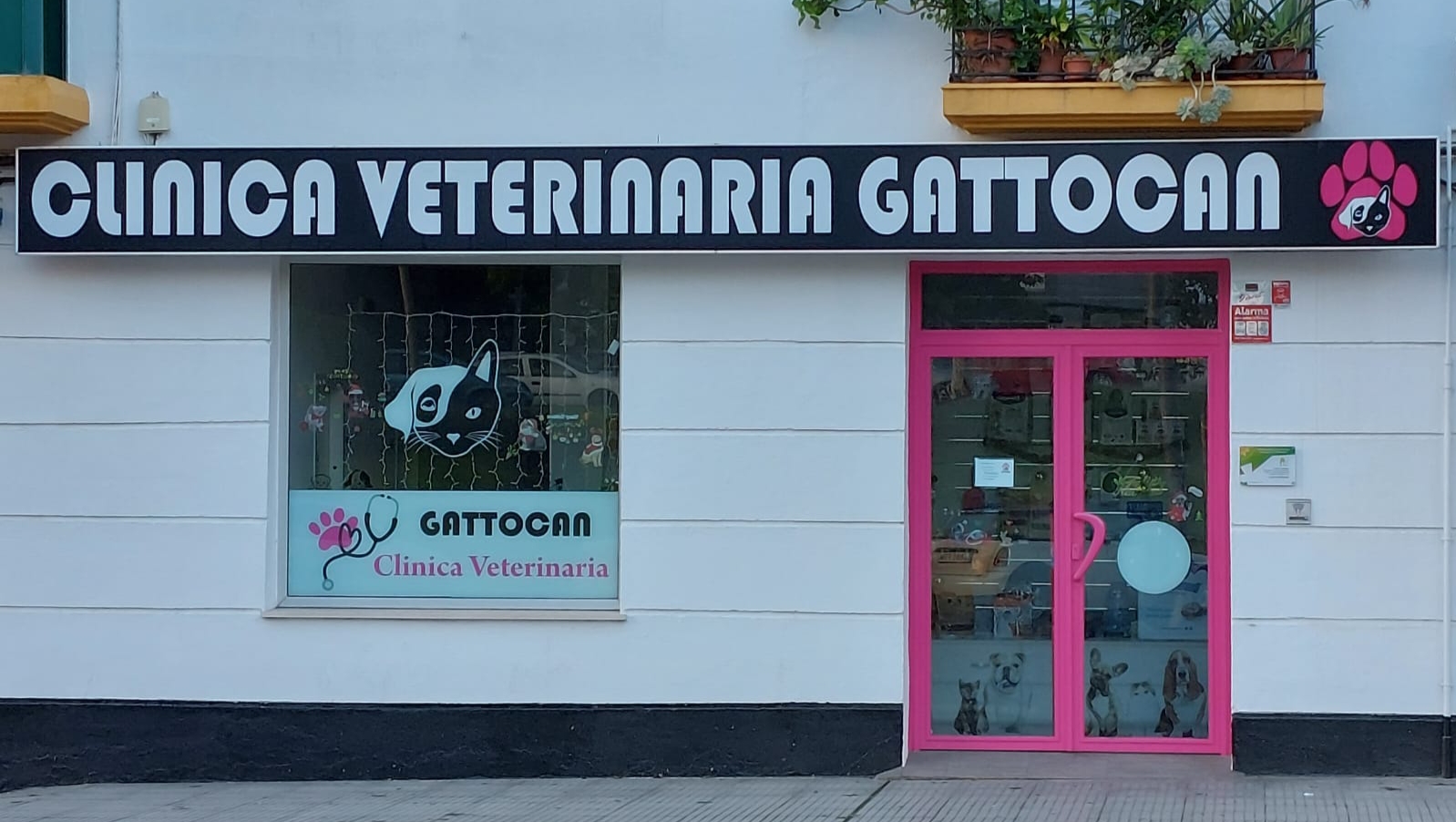 Clínica veterinaria CLINICA VETERINARIA GATTOCAN