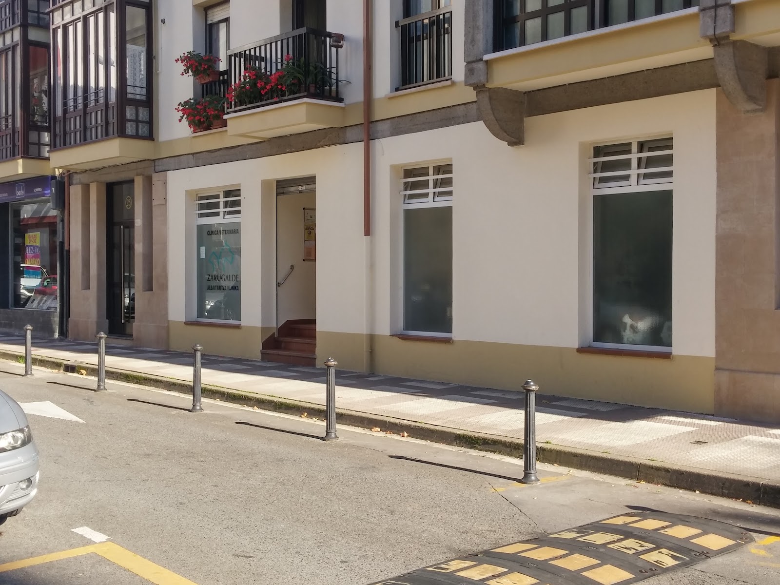 Clínica veterinaria Zarugalde Albaitaritza