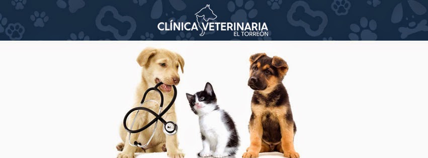 Clínica veterinaria Veterinary Clinic El Torreón