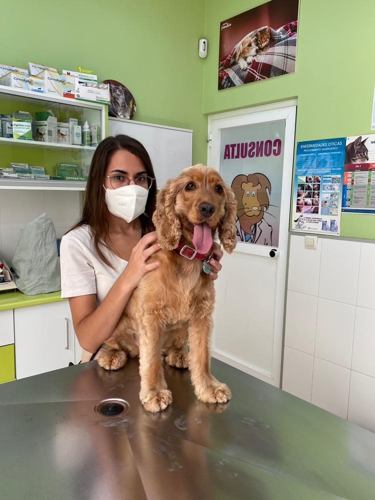 Clínica veterinaria Clínica Veterinaria Corazón de León