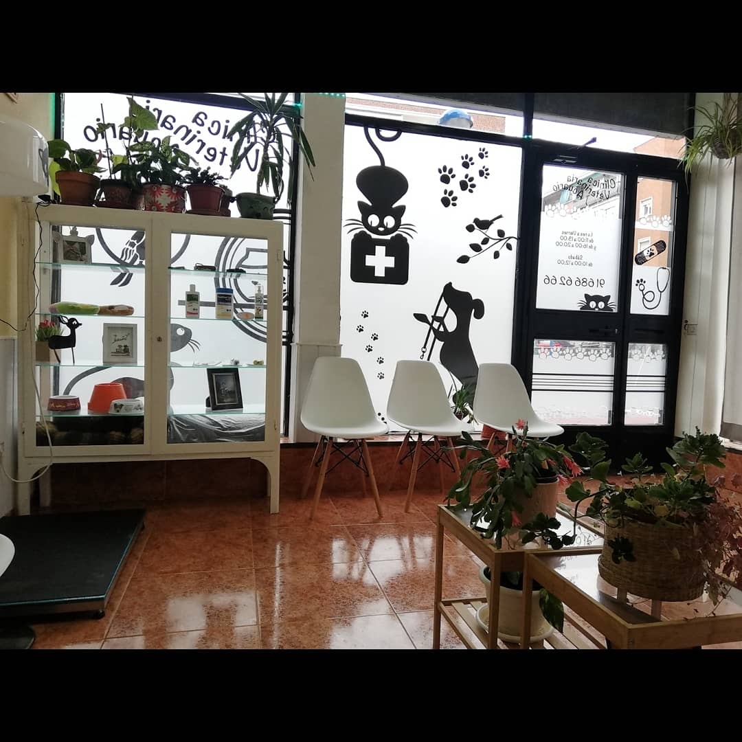 Clínica veterinaria C. Veterinario Acuario