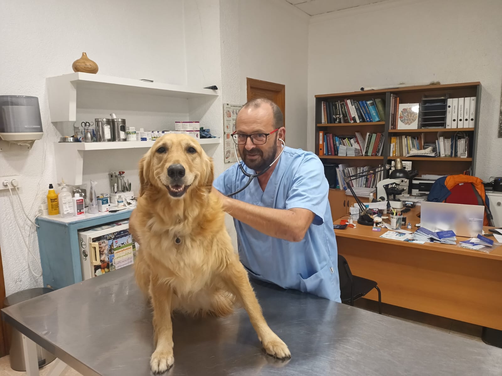 Clínica veterinaria Centro Veterinario Albeitar | Veterinario Javea