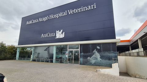 Clínica veterinaria AniCura Aragó Hospital Veterinari | Urgències 24h