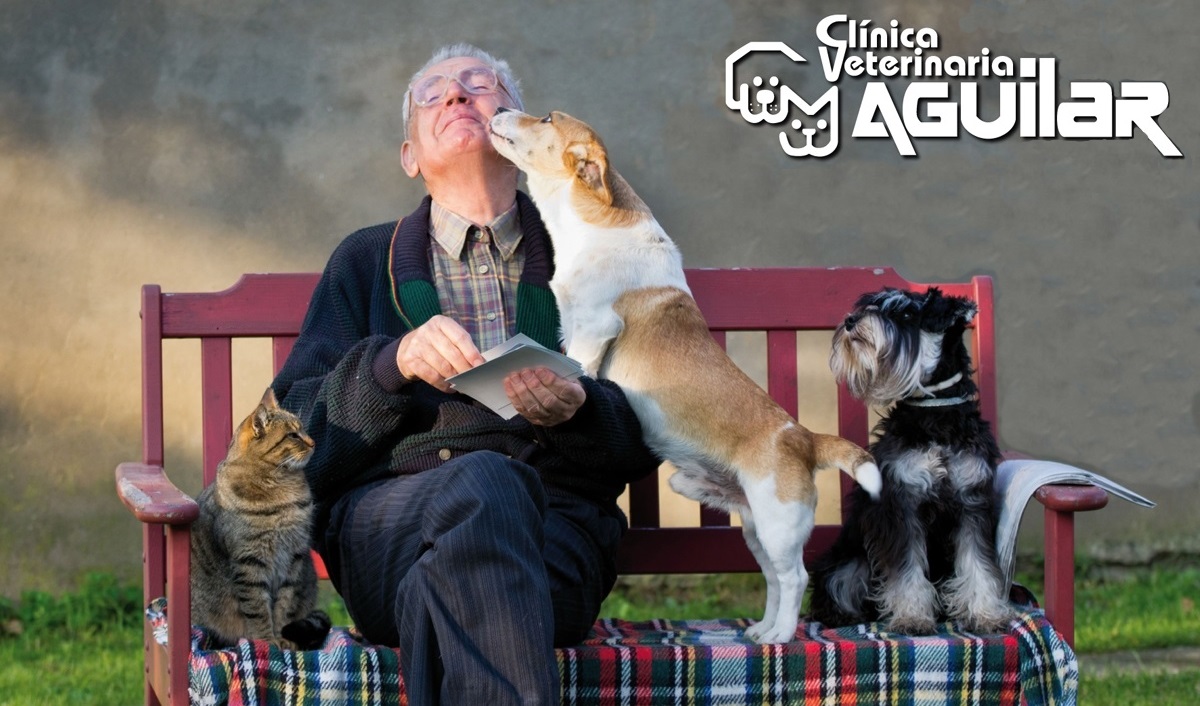 Clínica veterinaria Clínica Veterinaria Aguilar