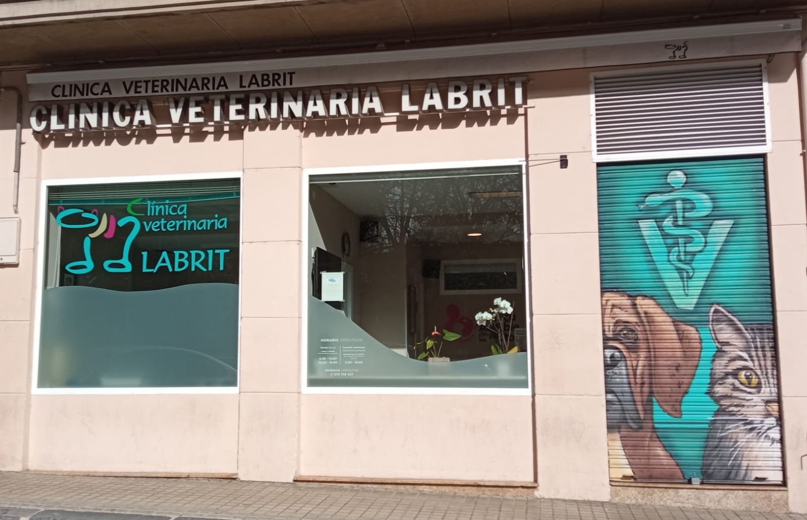 Clínica veterinaria Clínica Veterinaria Labrit