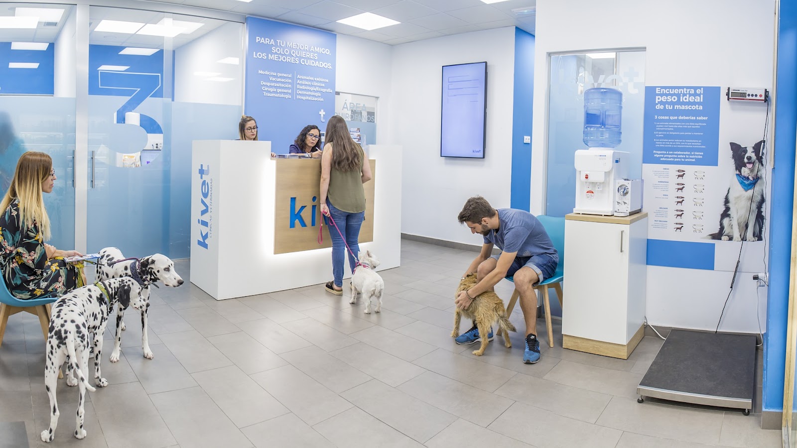 Clínica veterinaria Kivet Salud Animal