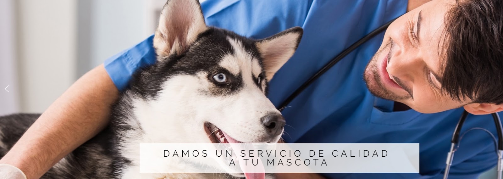 Clínica veterinaria Veterinary Clinic Molino de la Hoz