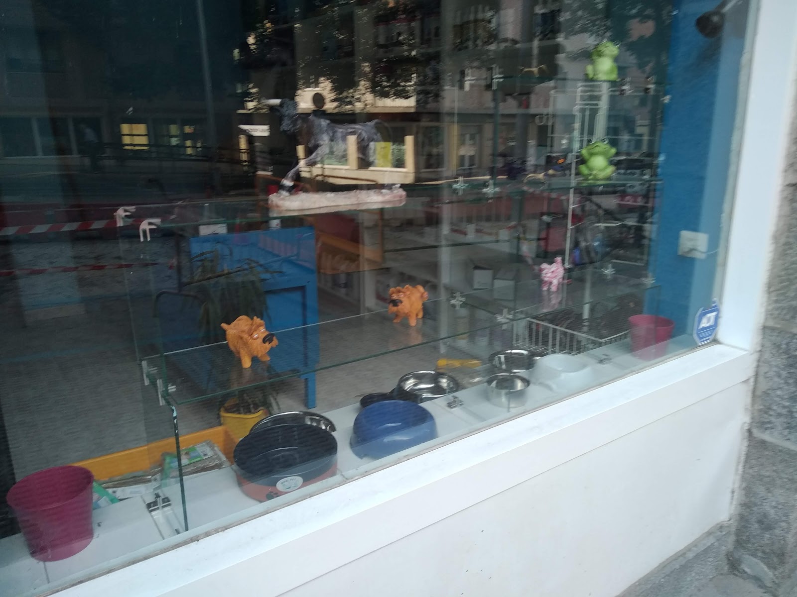 Clínica veterinaria Solvet
