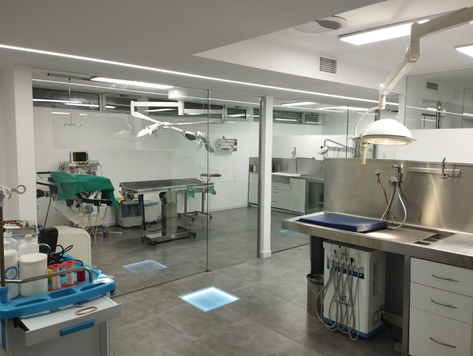 Clínica veterinaria Centro Veterinario Vistahermosa