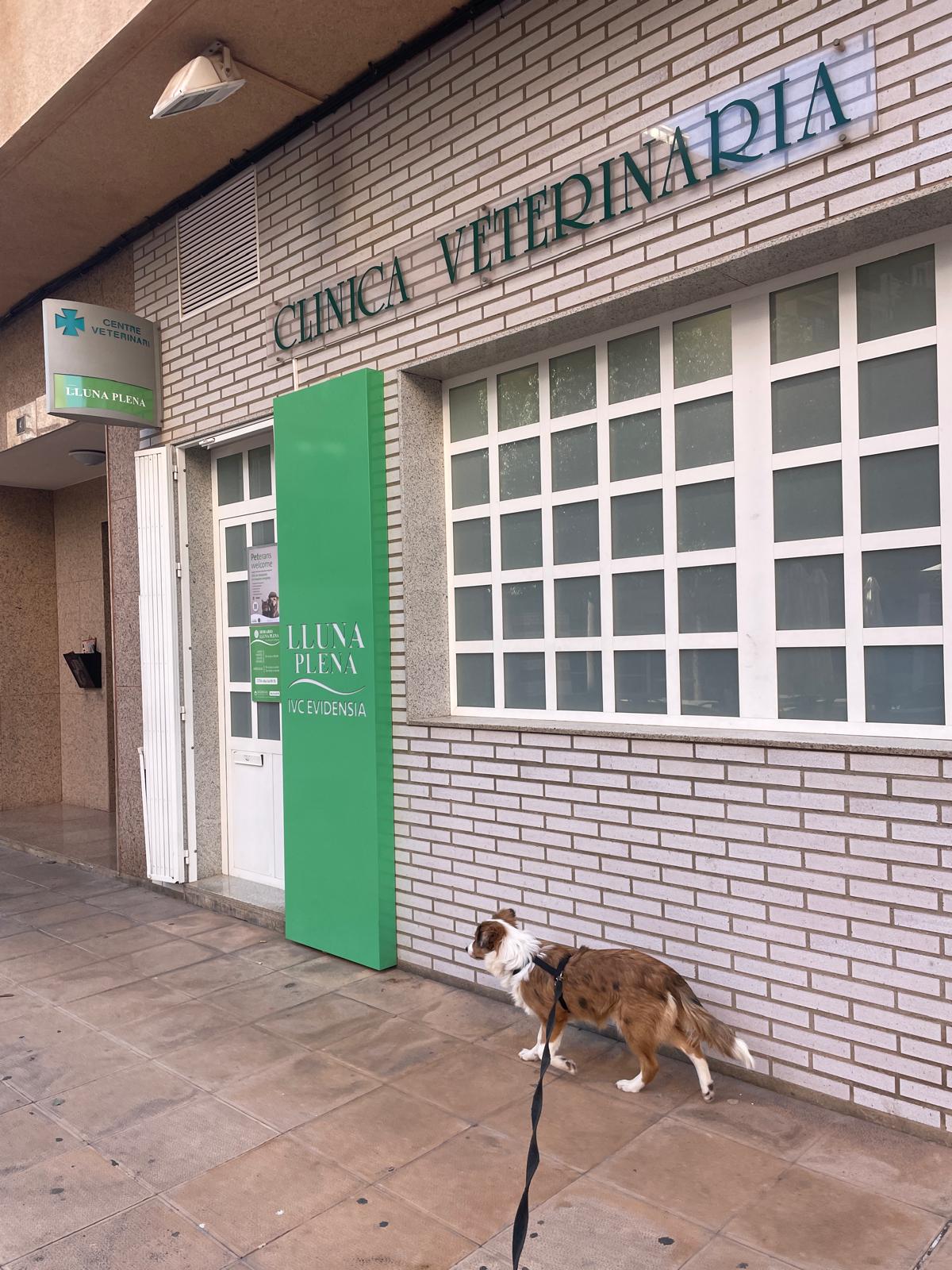 Clínica veterinaria Lluna Plena Veterinary Clinic