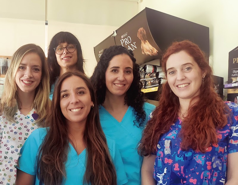 Clínica veterinaria Clínica Veterinaria PICA