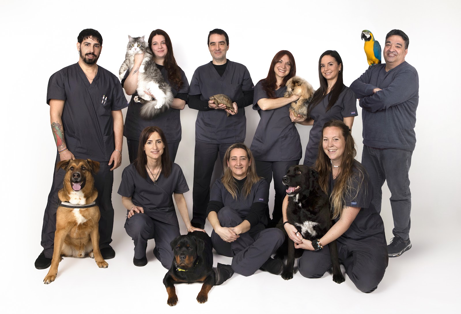 Clínica veterinaria Zoològic Veterinaris