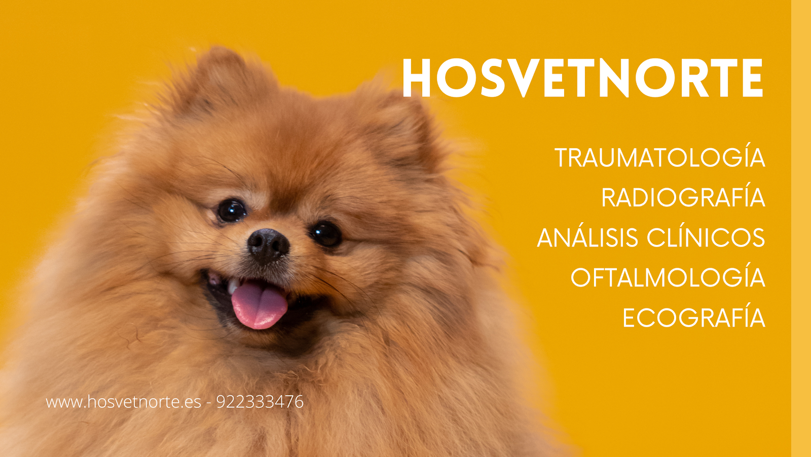 Clínica veterinaria Hosvetnorte