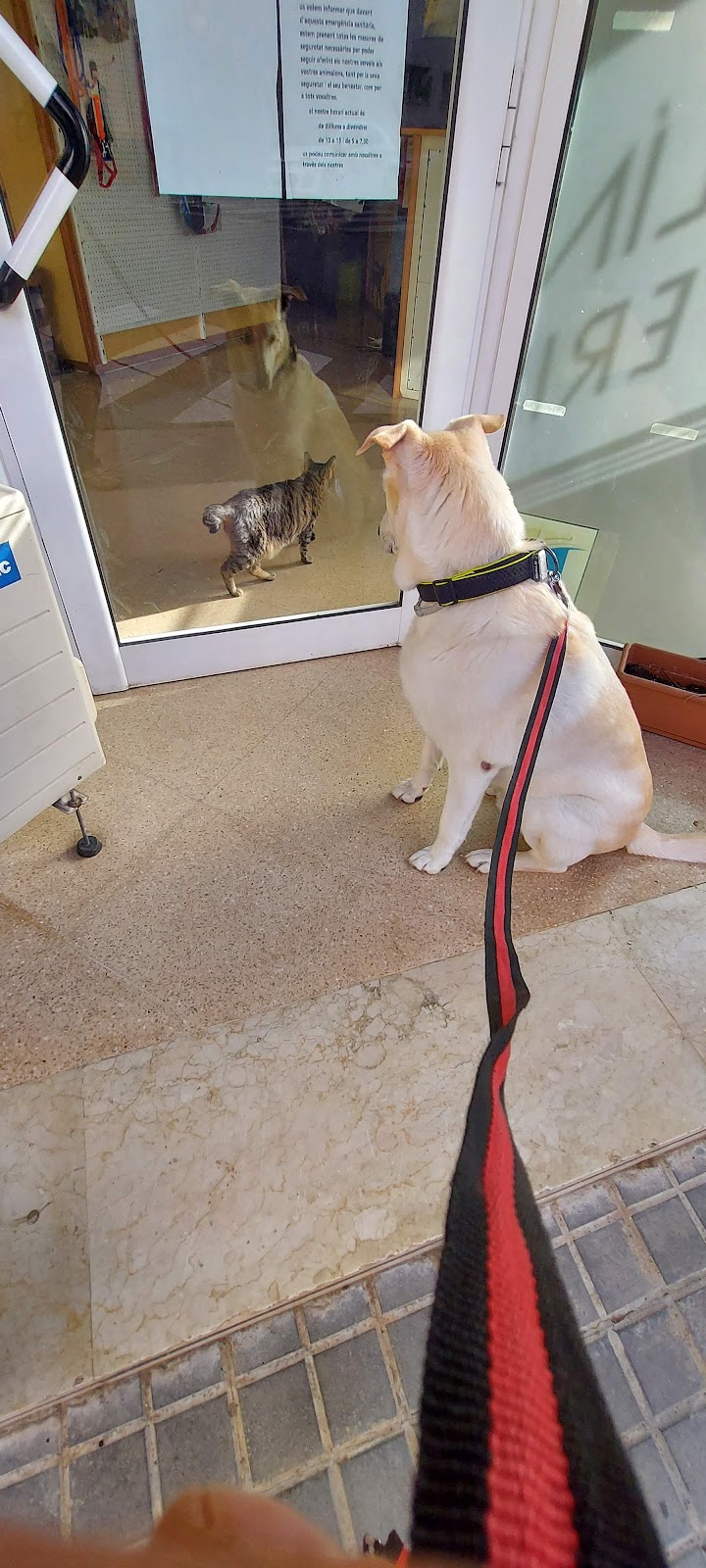 Clínica veterinaria Gos i Gat