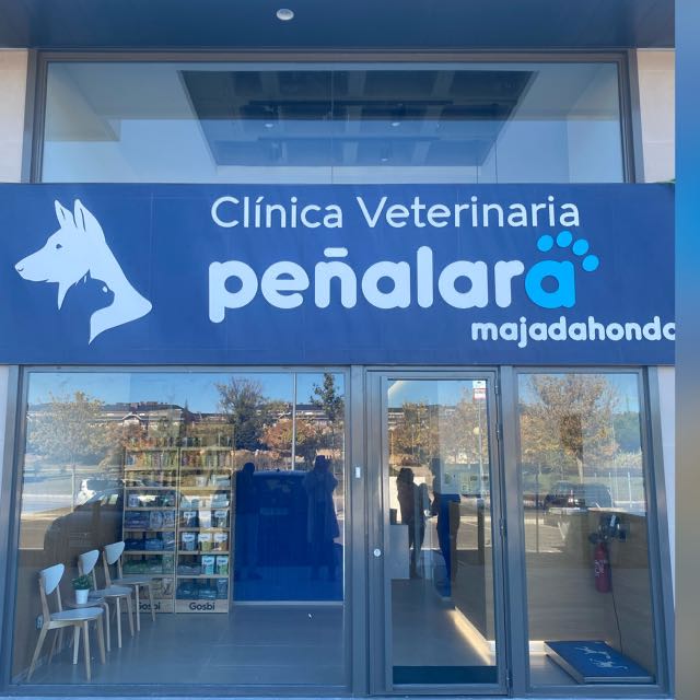 Clínica veterinaria CLÍNICA VETERINARIA PEÑALARA MAJADAHONDA