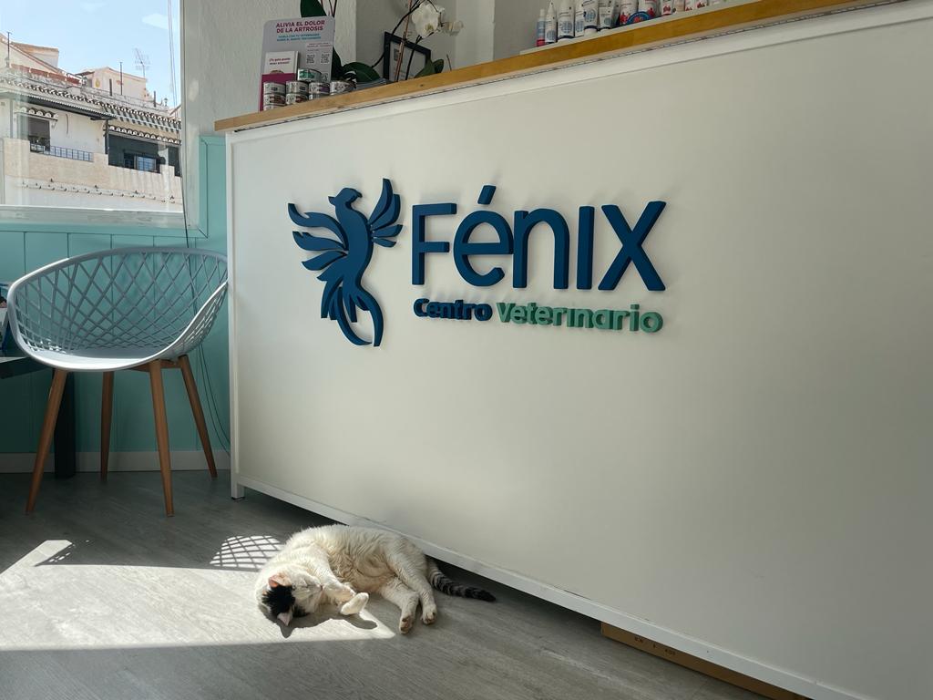 Clínica veterinaria Centro Veterinario Fénix