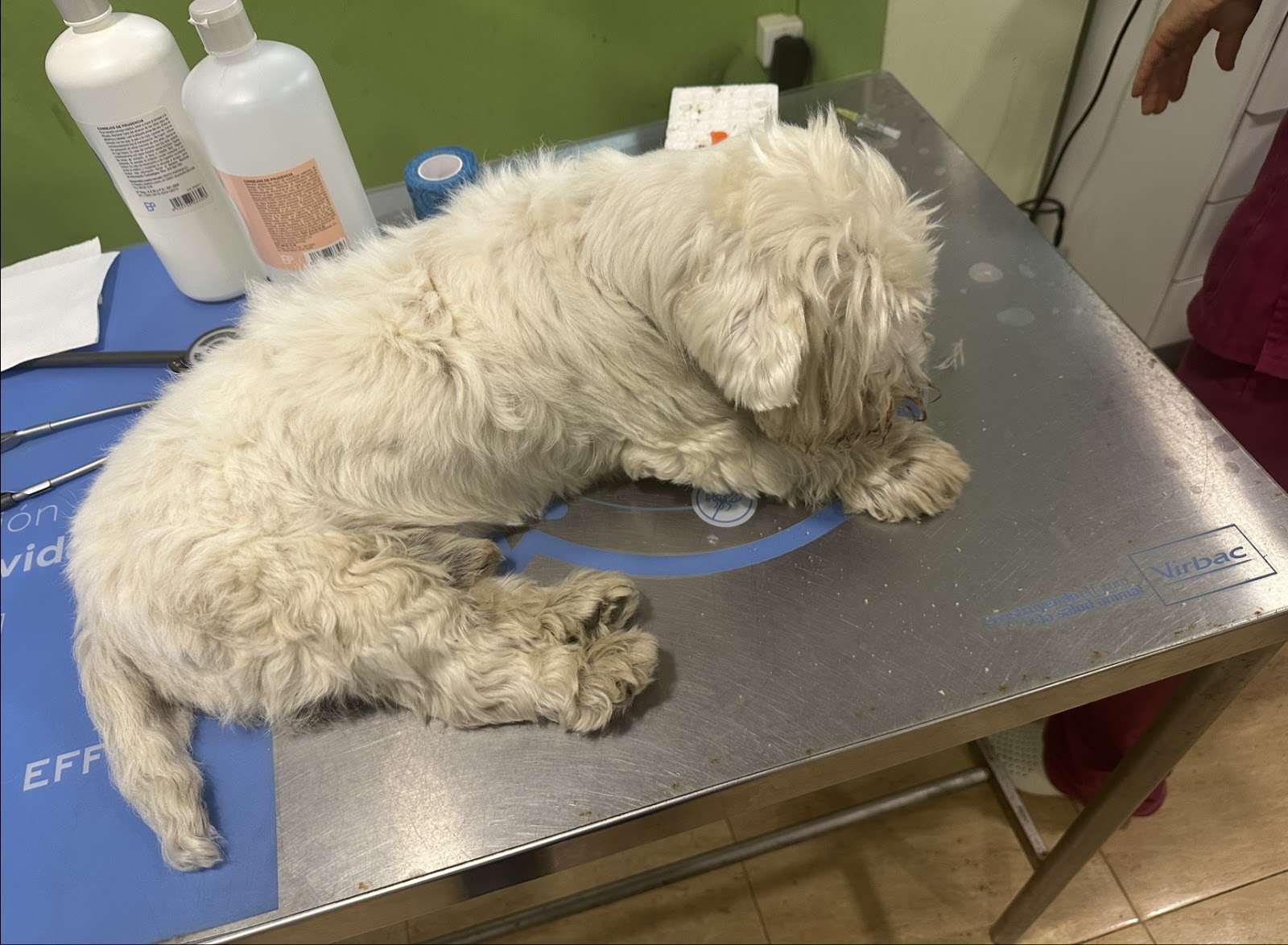 Clínica veterinaria Quatre Potes