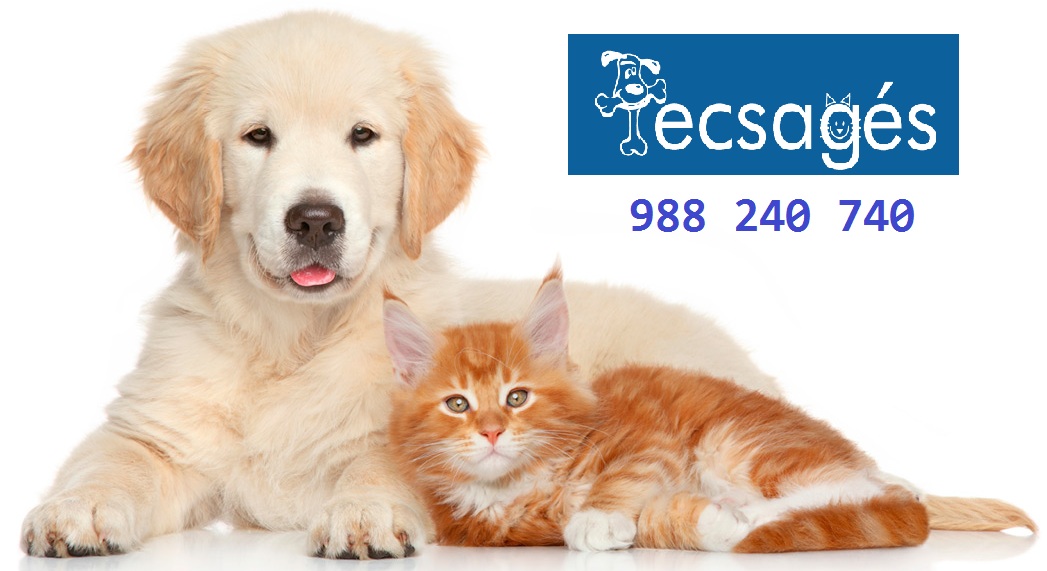 Clínica veterinaria Clínica Veterinaria Tecsagés
