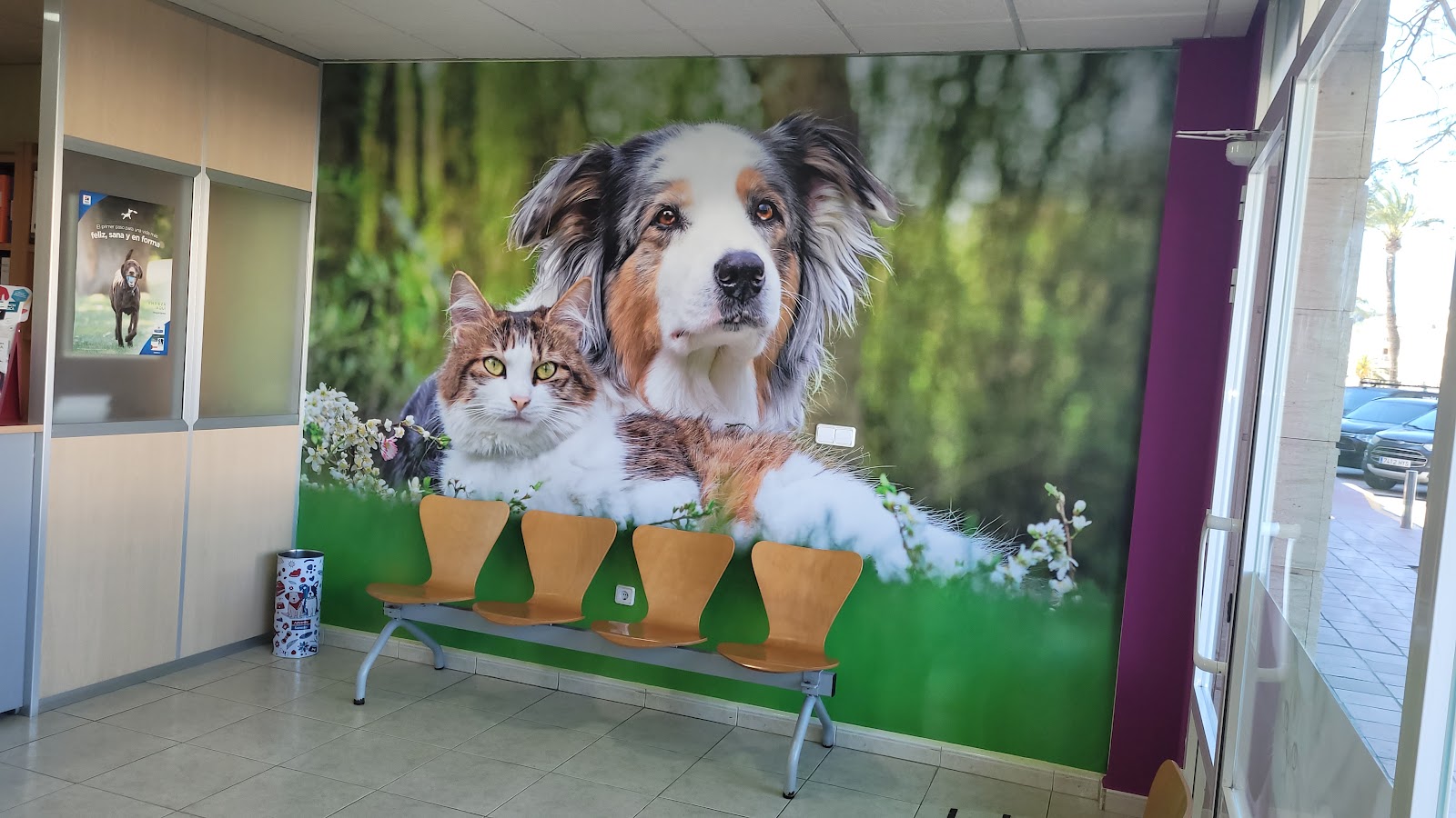 Clínica veterinaria Clínica Veterinaria Arenal
