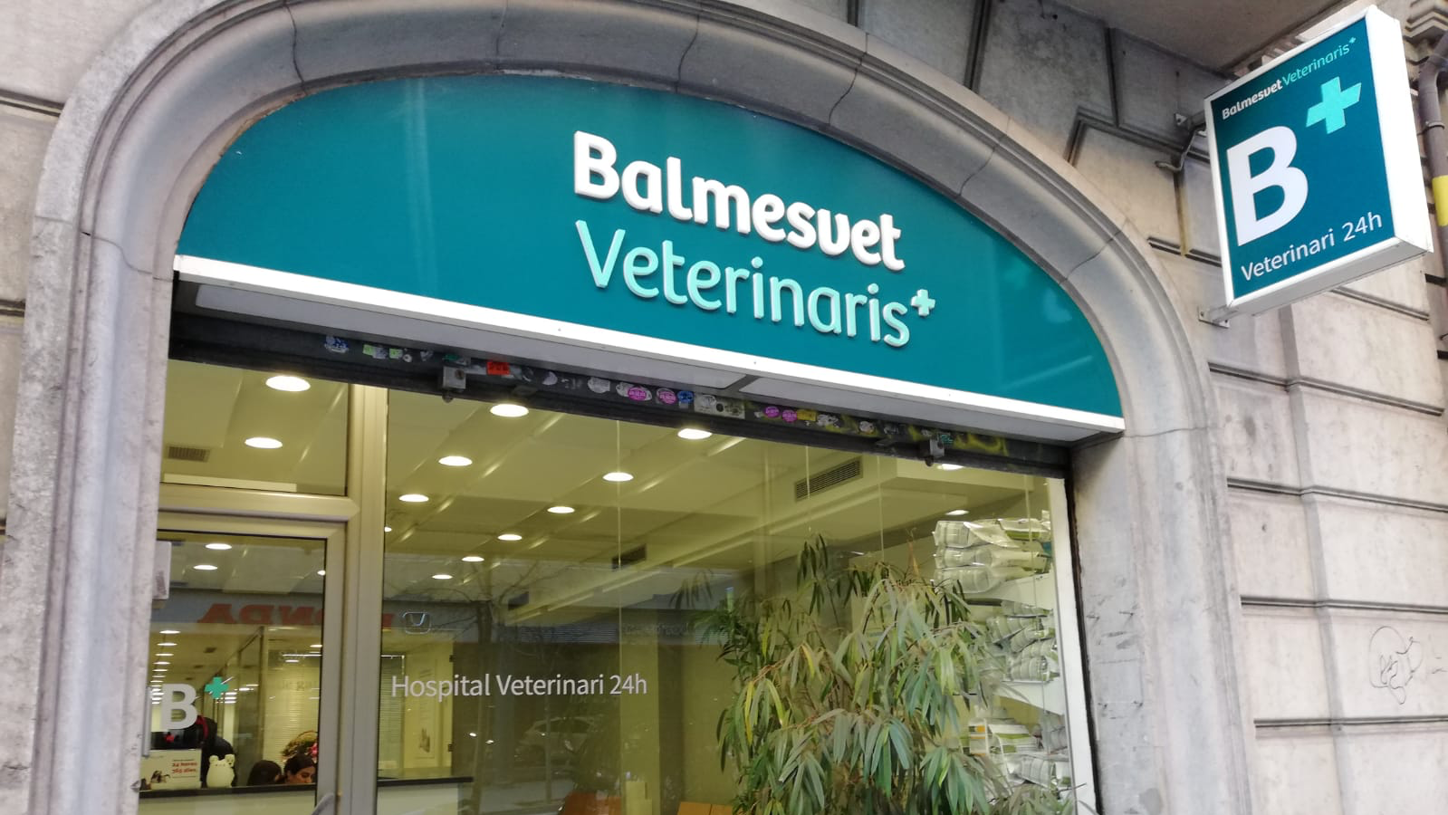 Clínica veterinaria Balmesvet Veterinaris Hospital 24 H.