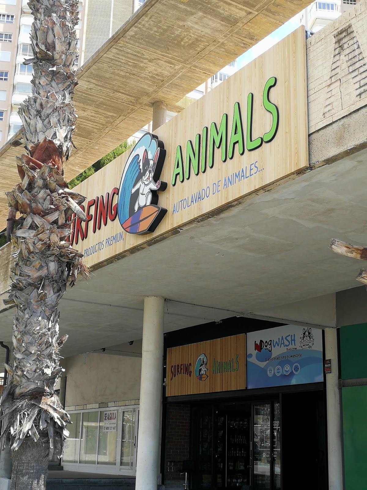 Clínica veterinaria Surfing Animals