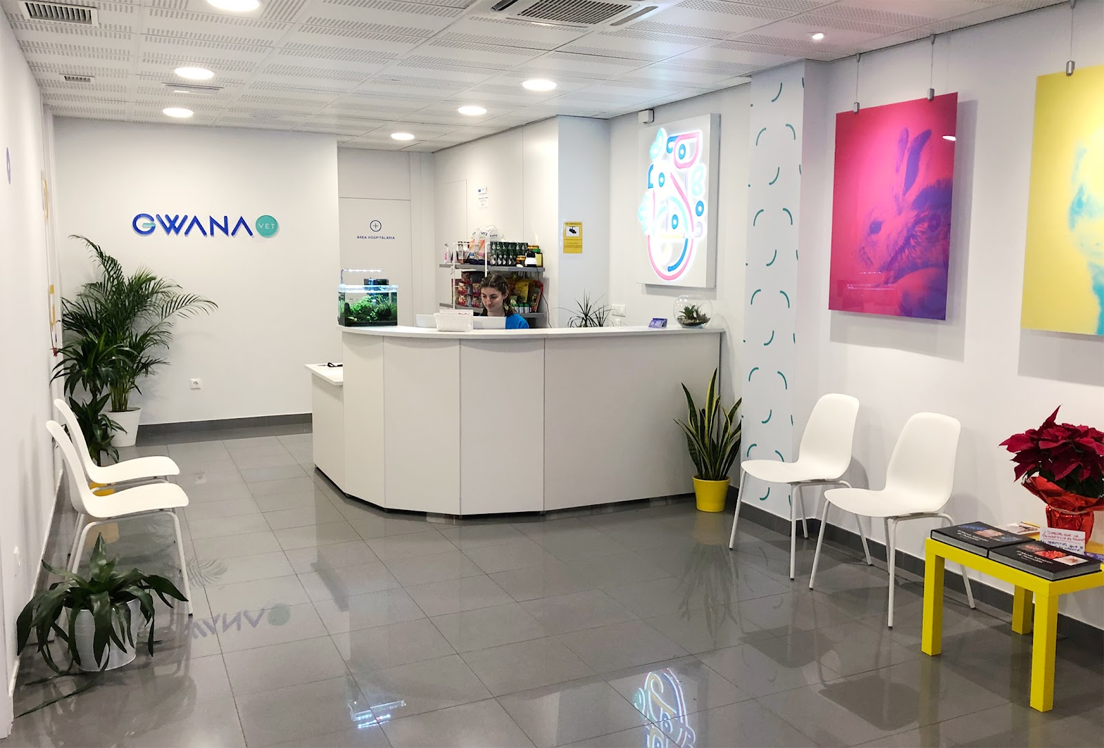 Clínica veterinaria GWANA VET Veterinario Exóticos