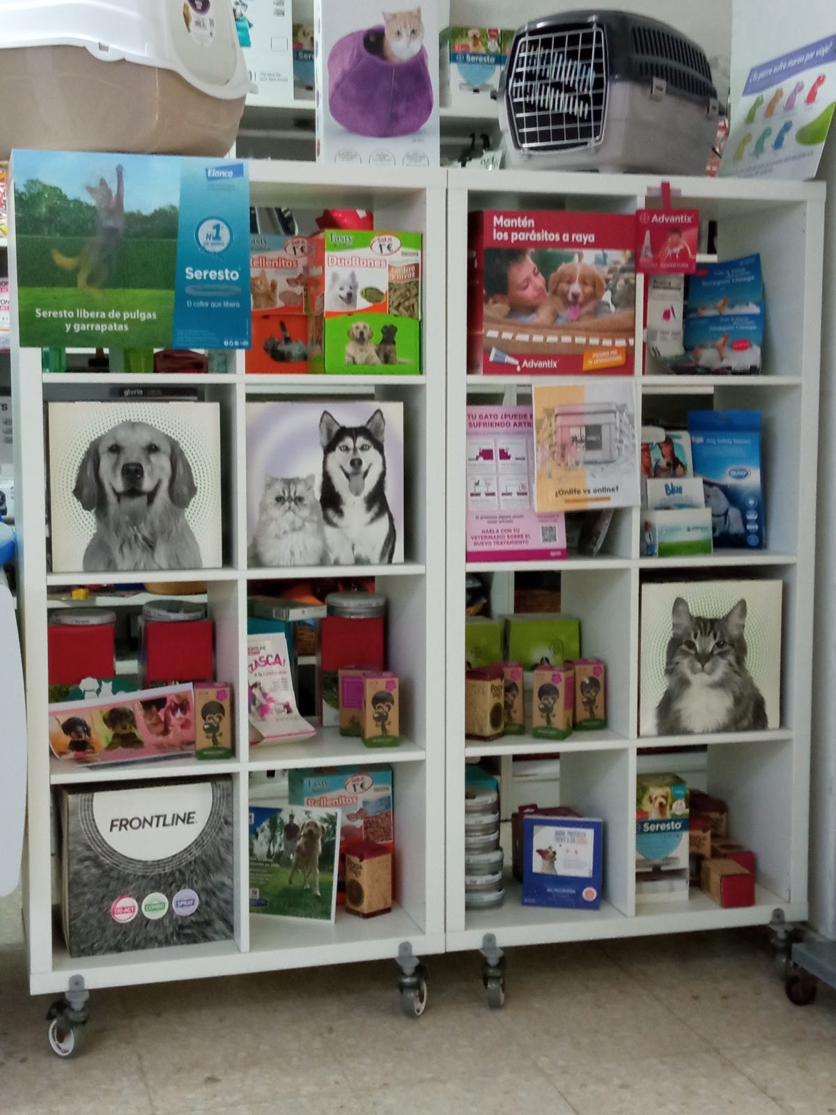 Clínica veterinaria Clinica Veterinaria Peniche