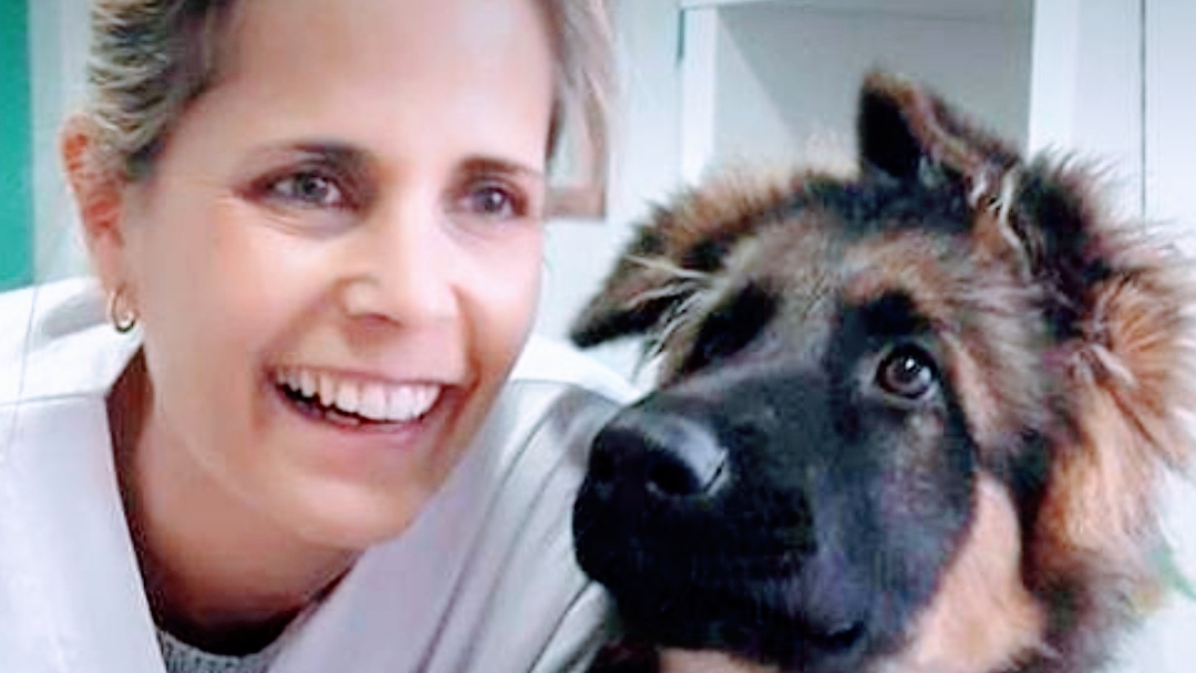 Clínica veterinaria Centro Veterinario Mi Vet Maritina