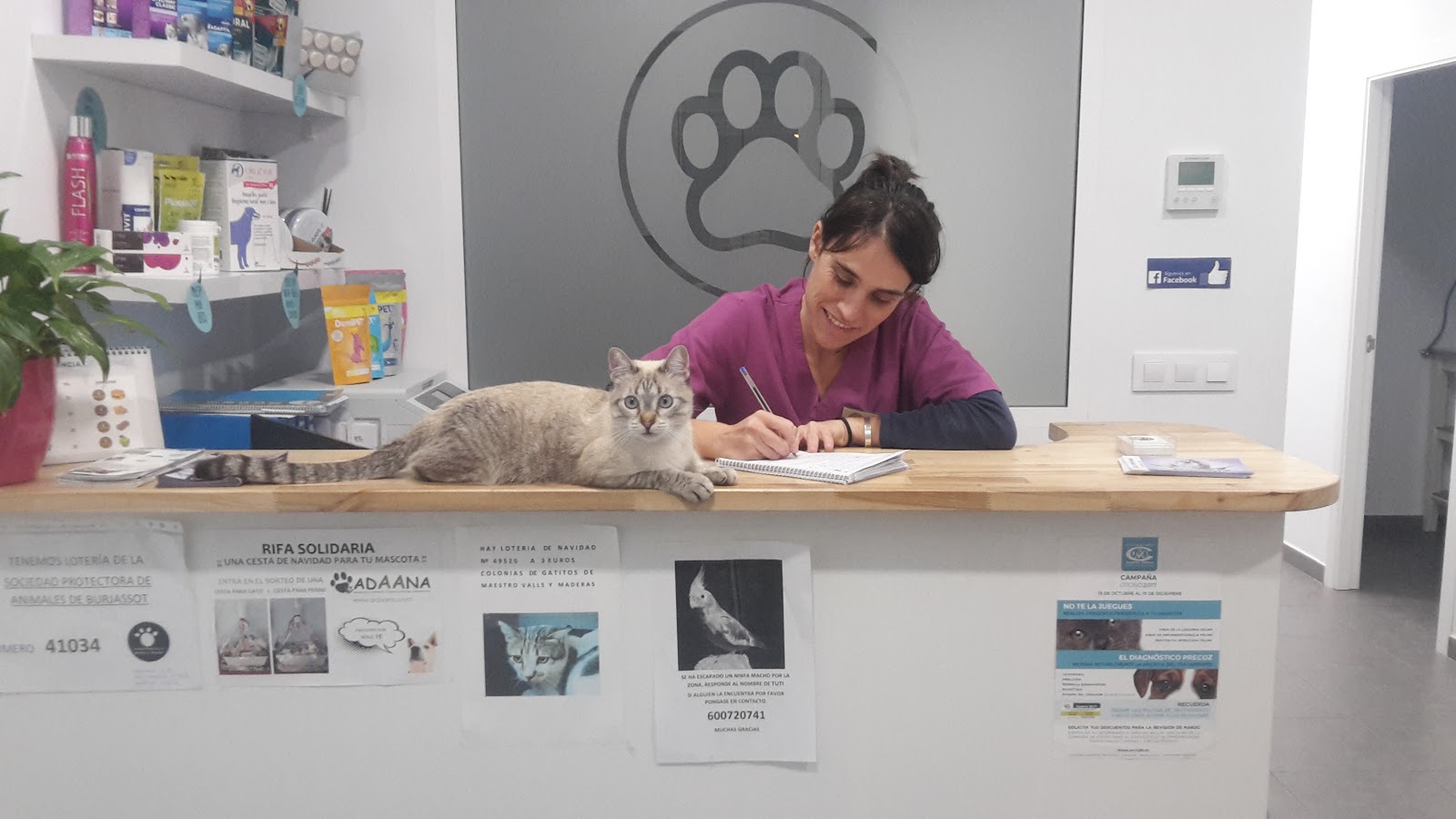 Clínica veterinaria Clínica Veterinaria Avenida del Puerto 200 - Valencia