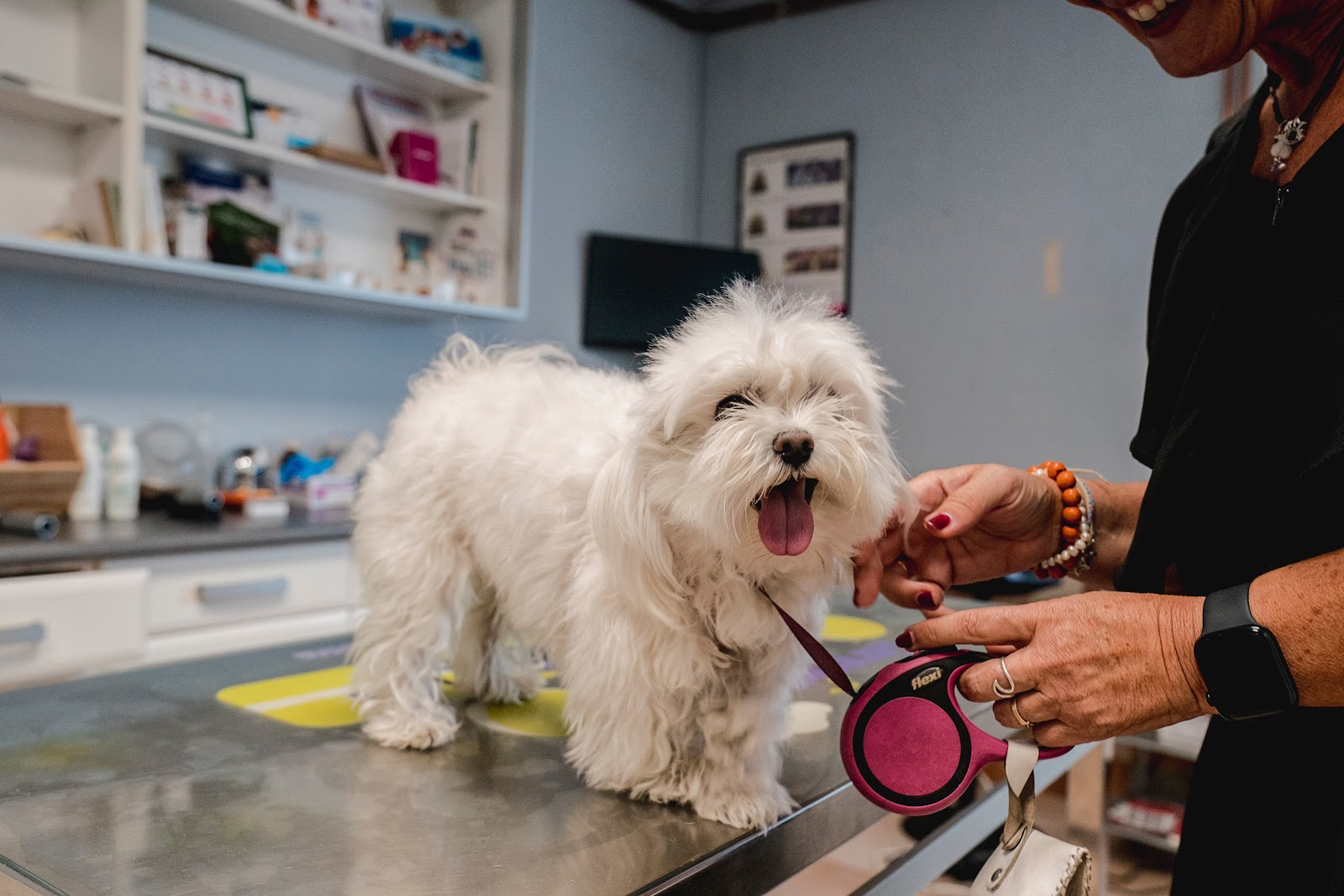Clínica veterinaria Clínica Veterinaria Castaños