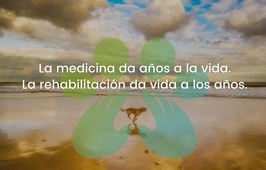Clínica veterinaria Recuperavet