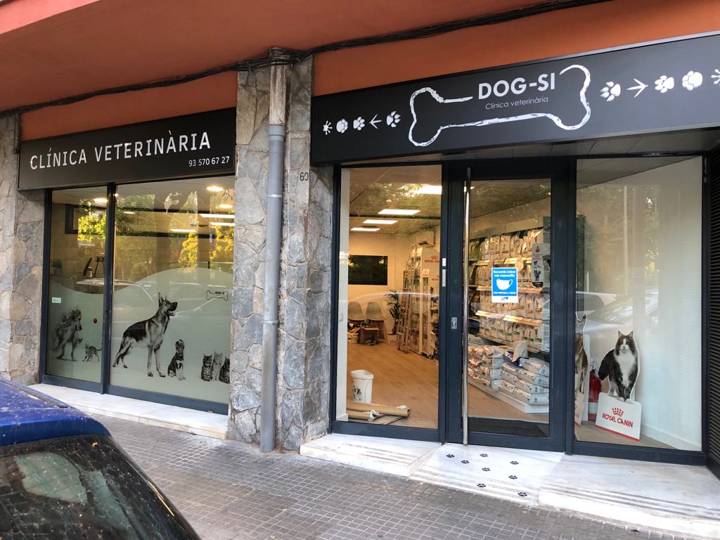 Clínica veterinaria Clínica Veterinaria Dog-Si