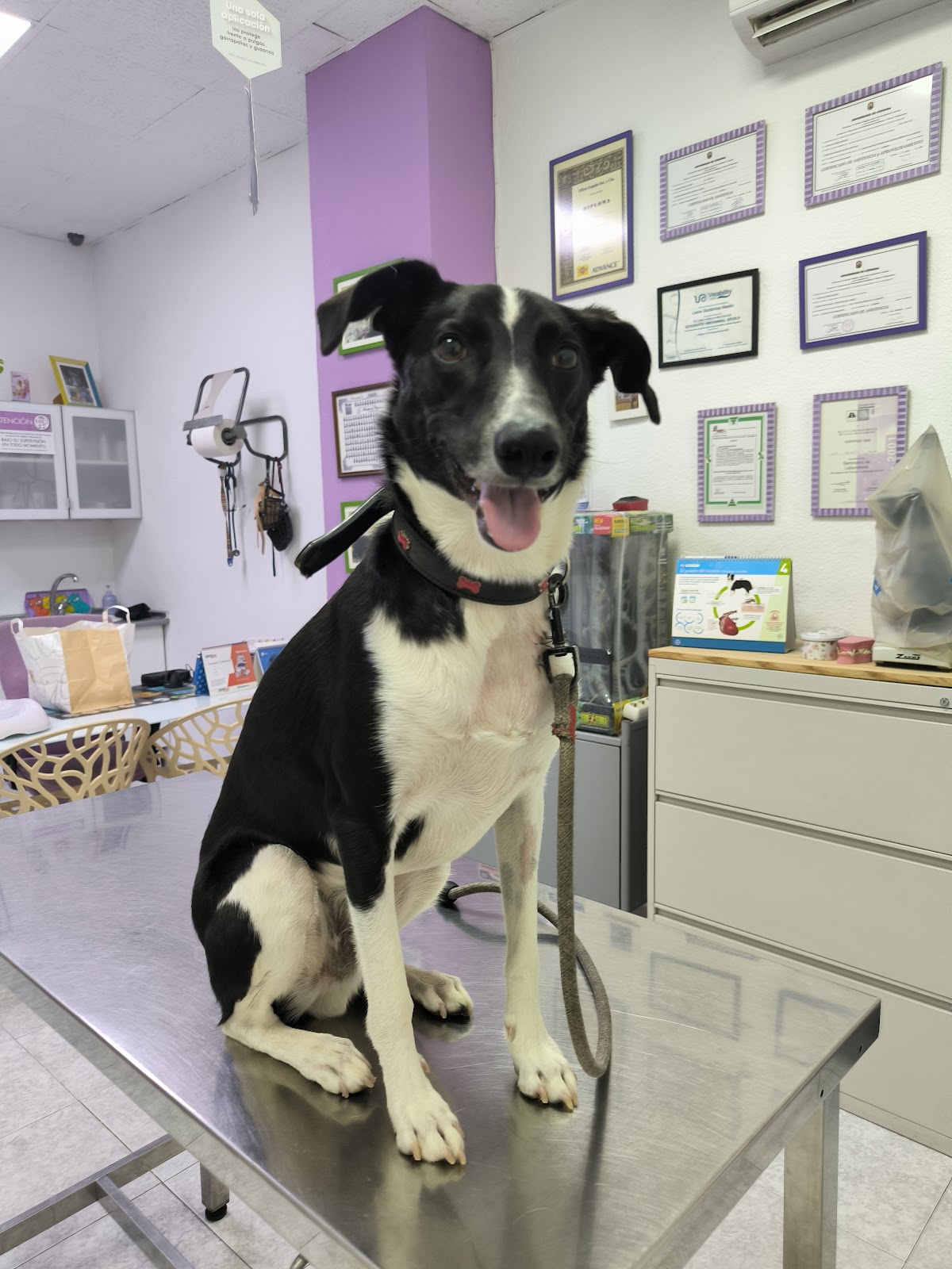 Clínica veterinaria Clínica Veterinaria Kanes