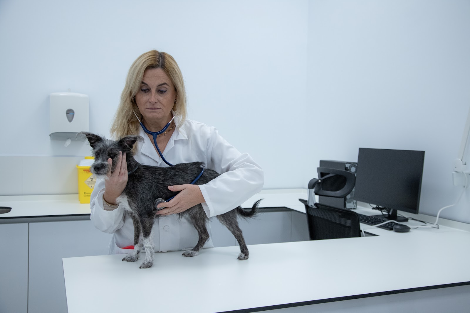 Clínica veterinaria Hospital Veterinario Universitario UCAM